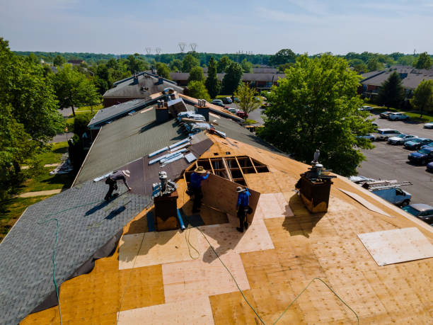 Trusted Roof Replacement service in Boulder Creek, CA - Brentwood Metal Roofing